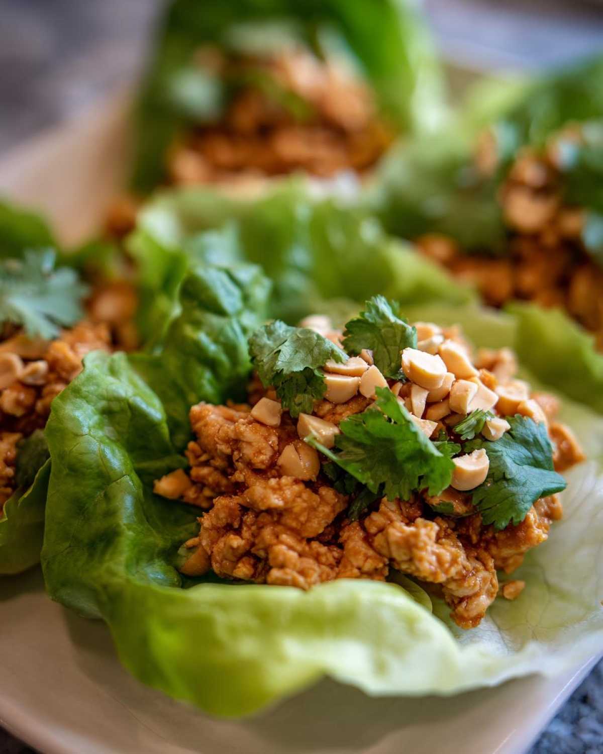 Asian Chicken Lettuce Wraps - detail 2