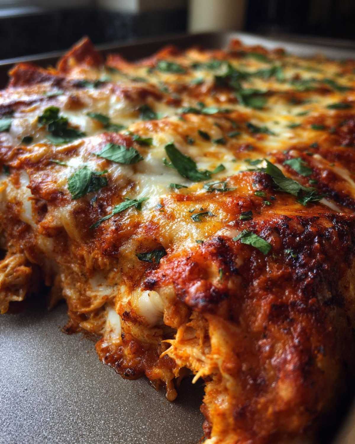 Cheesy Chicken Enchiladas - detail 2