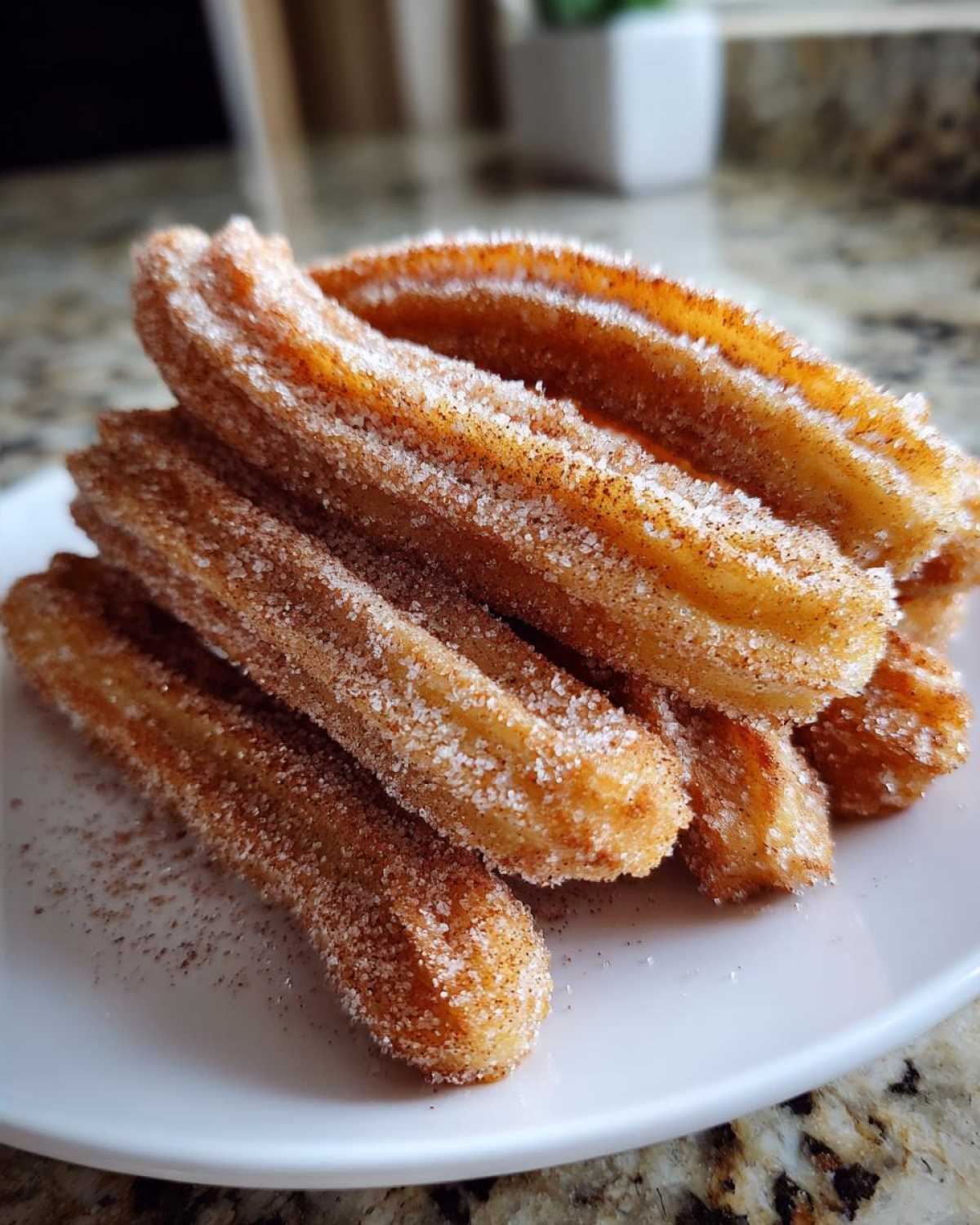 Churros (Cinnamon Sugar) - detail 2