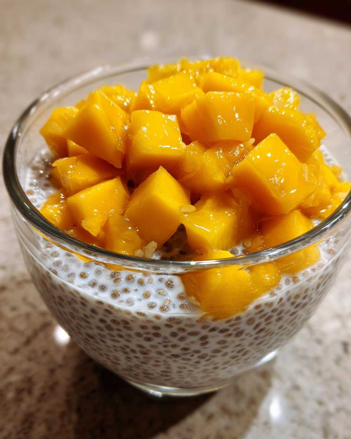 Chia Pudding with Fresh Mango - detail 2