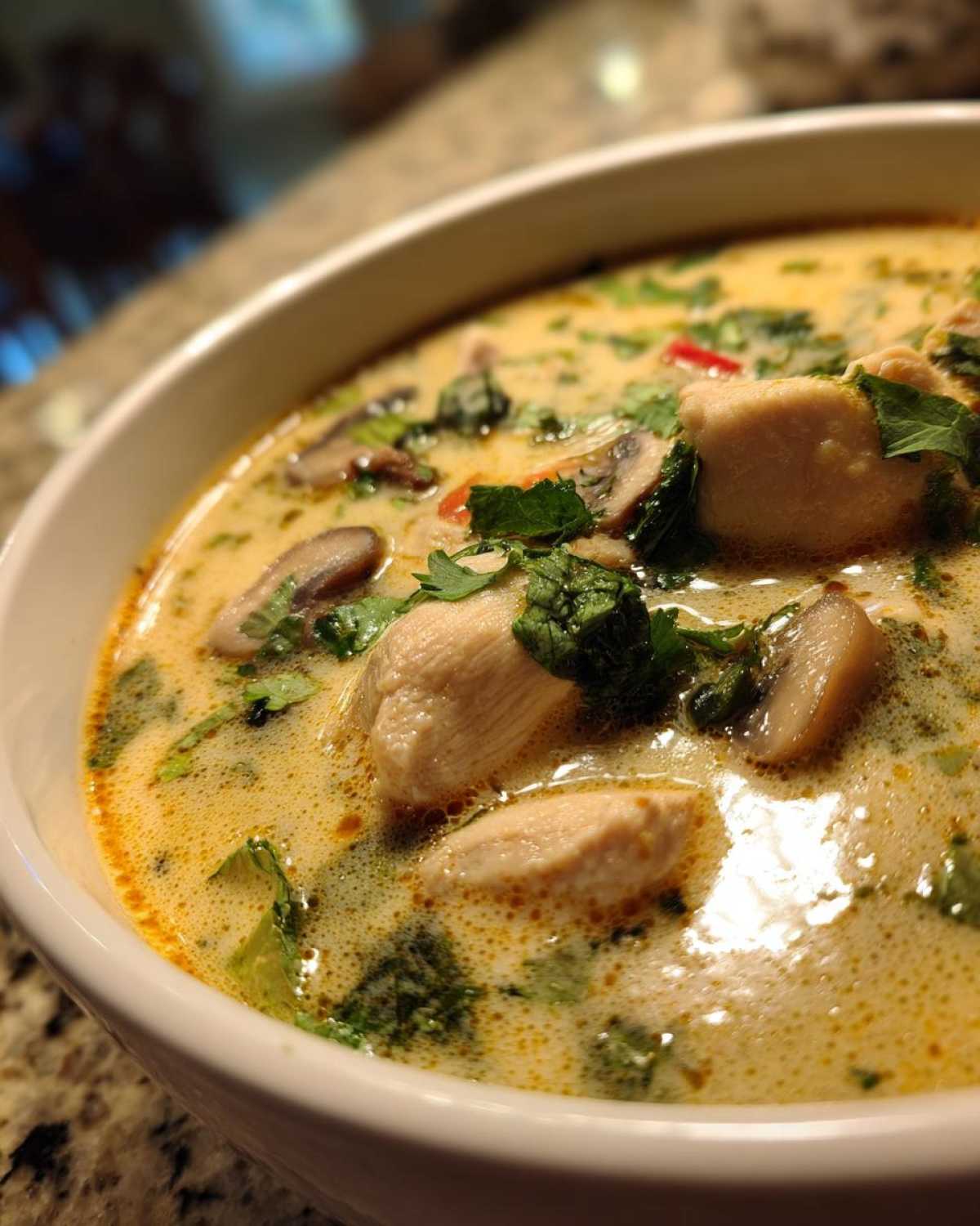 Thai Coconut Soup (Tom Kha) for Lunch - detail 4