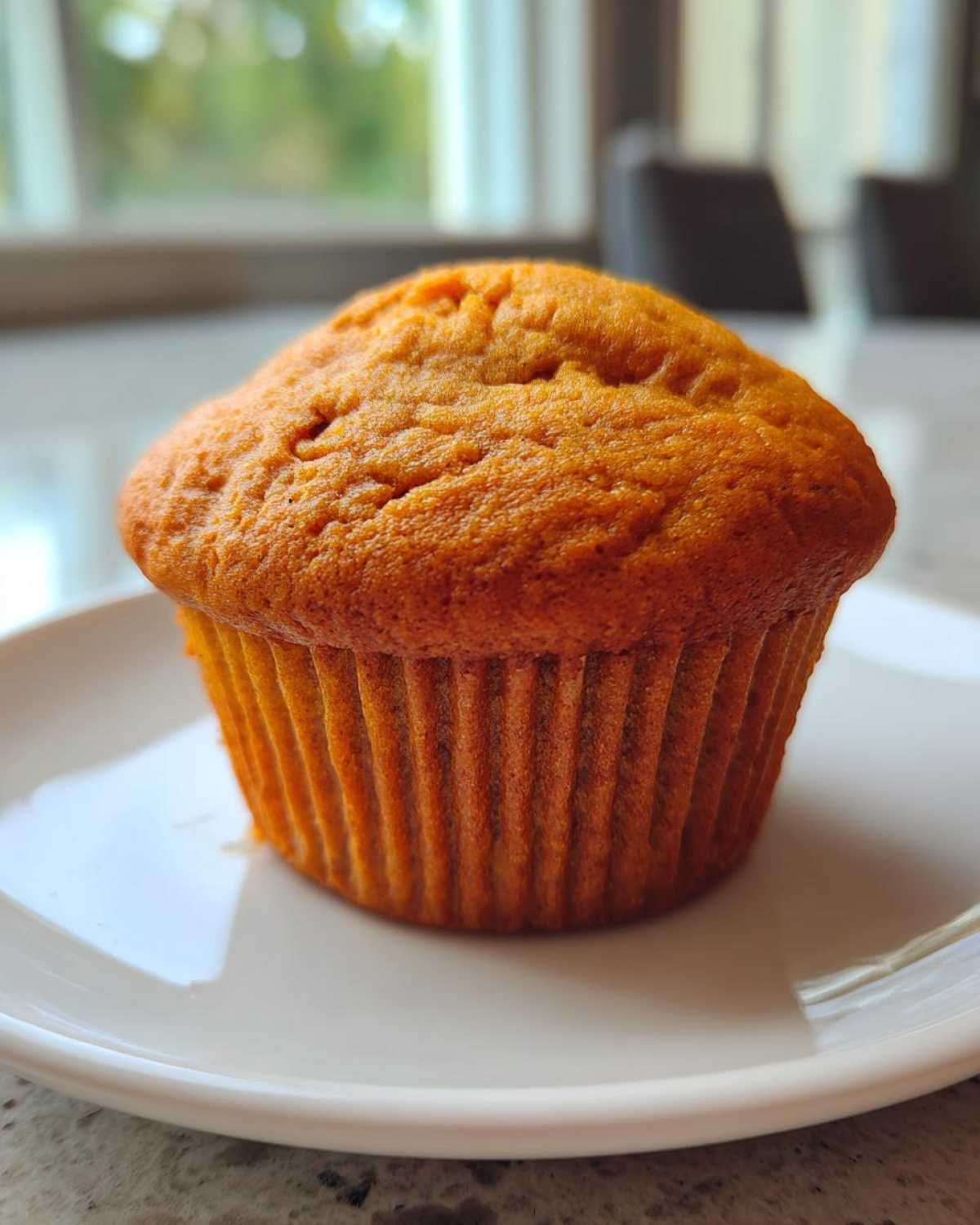 Classic protein muffins - detail 1
