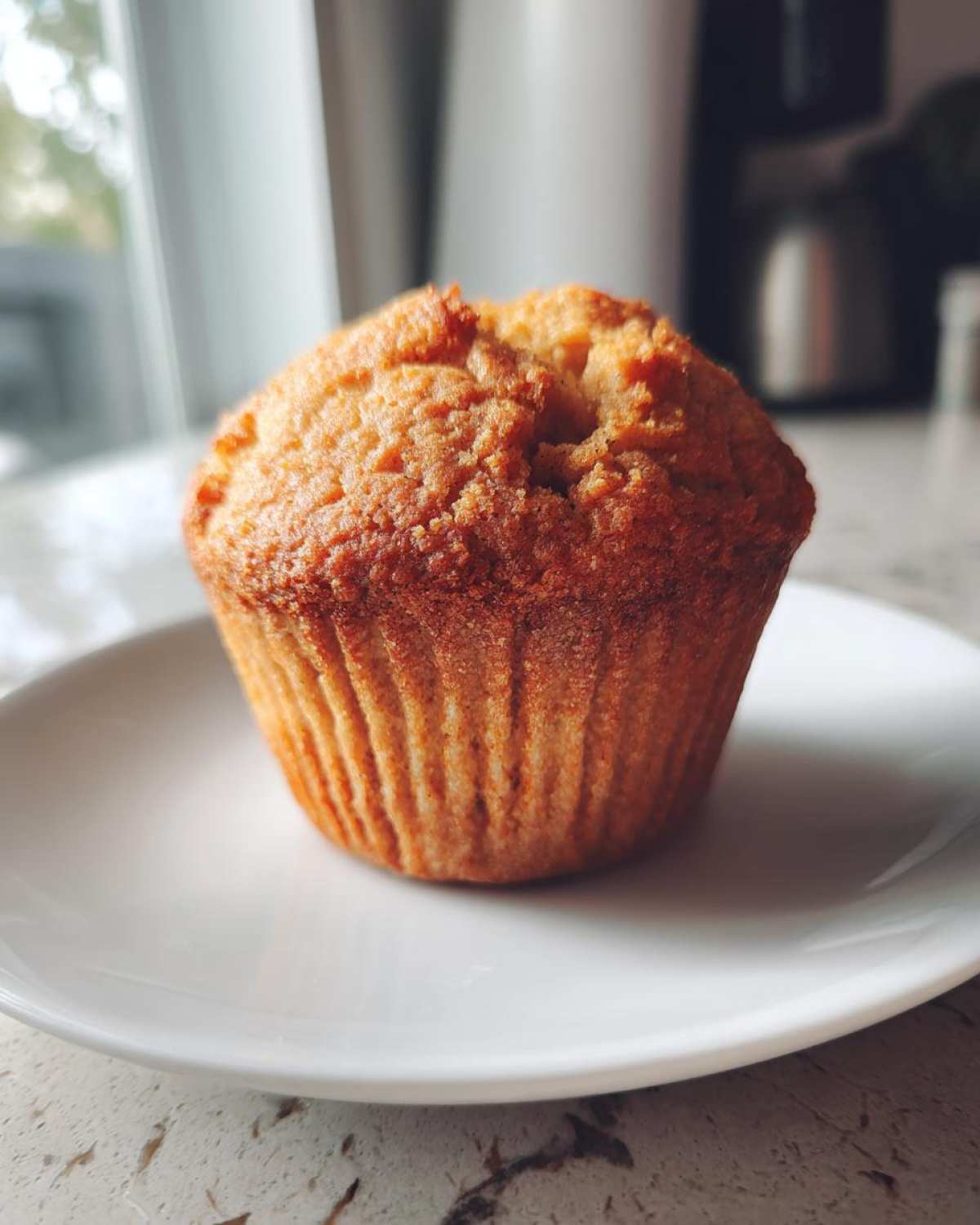 Classic protein muffins - detail 3