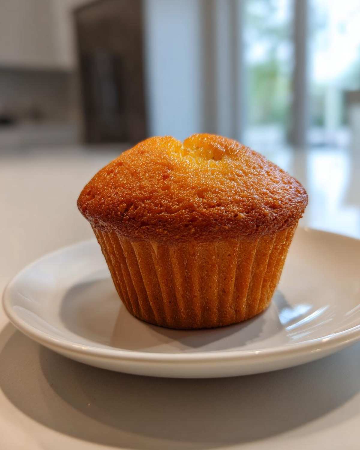 Classic protein muffins - detail 4