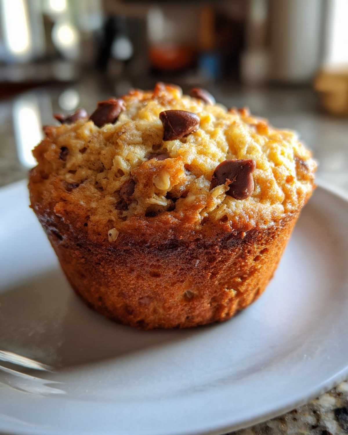 Oatmeal Chocolate Chip Breakfast Muffins - detail 1