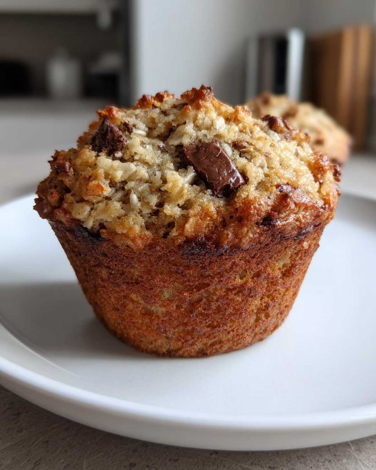 Oatmeal Chocolate Chip Breakfast Muffins - detail 2