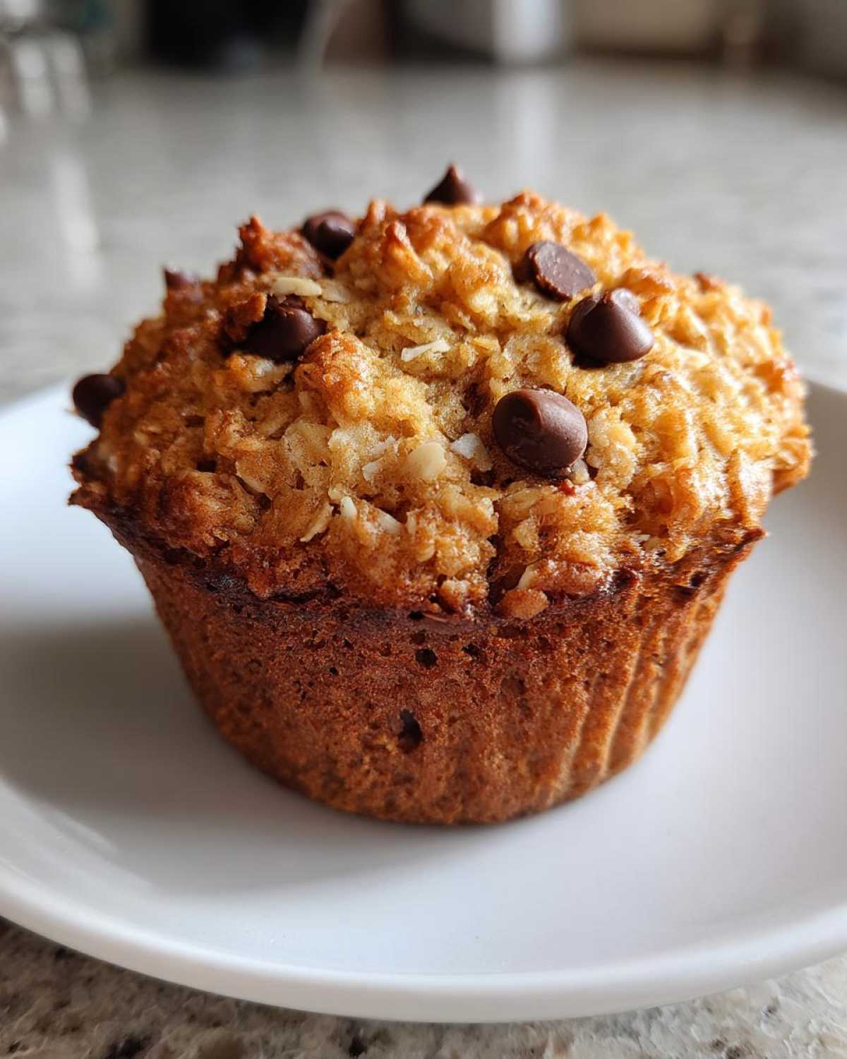 Oatmeal Chocolate Chip Breakfast Muffins - detail 4