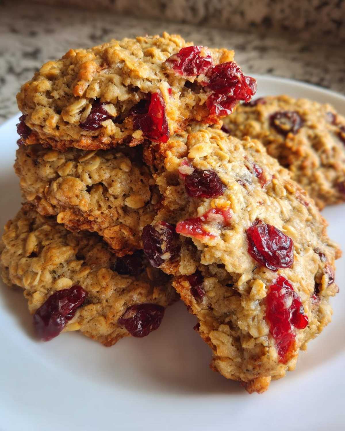 Cranberry Oatmeal Breakfast Cookies - detail 1