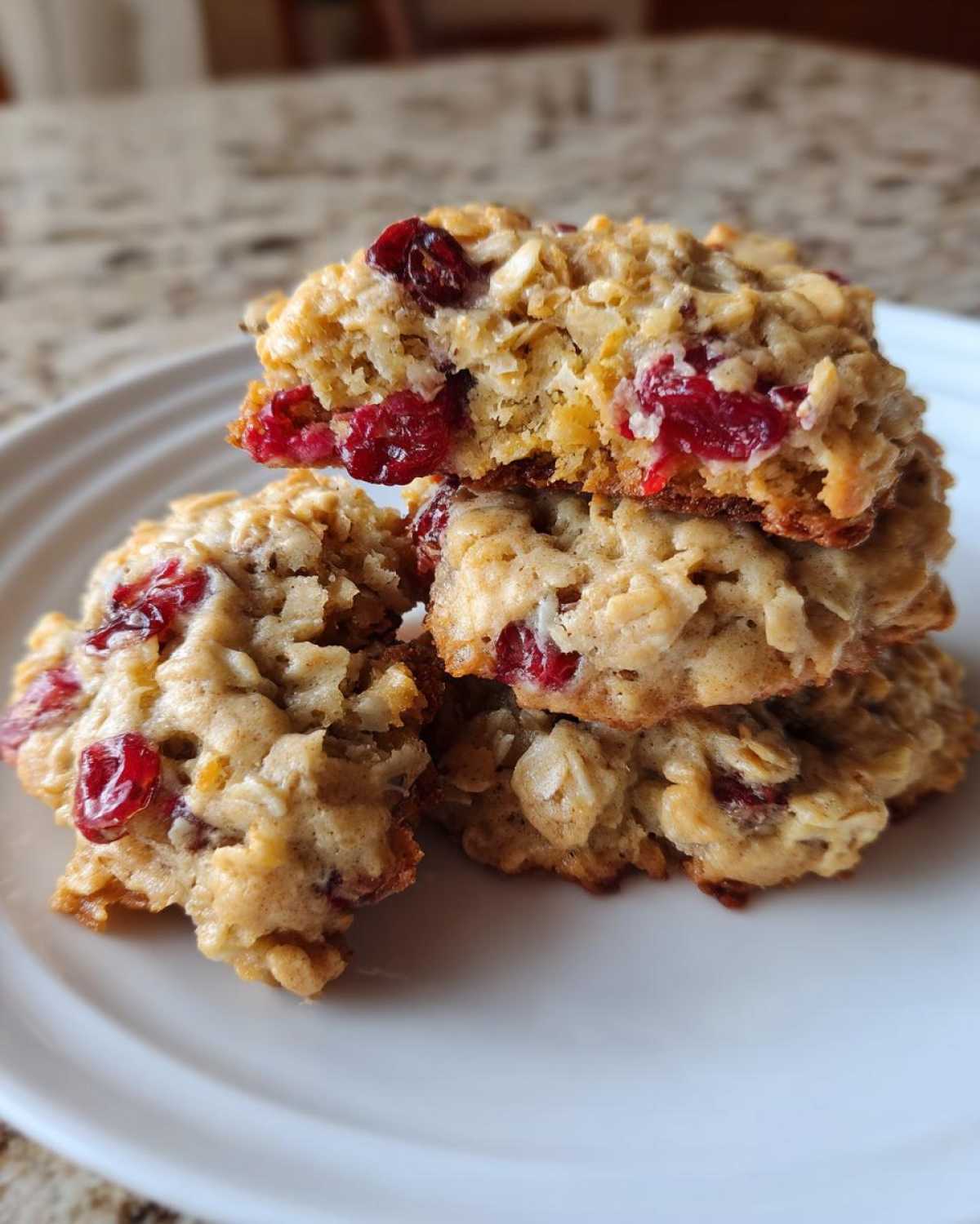 Cranberry Oatmeal Breakfast Cookies - detail 2