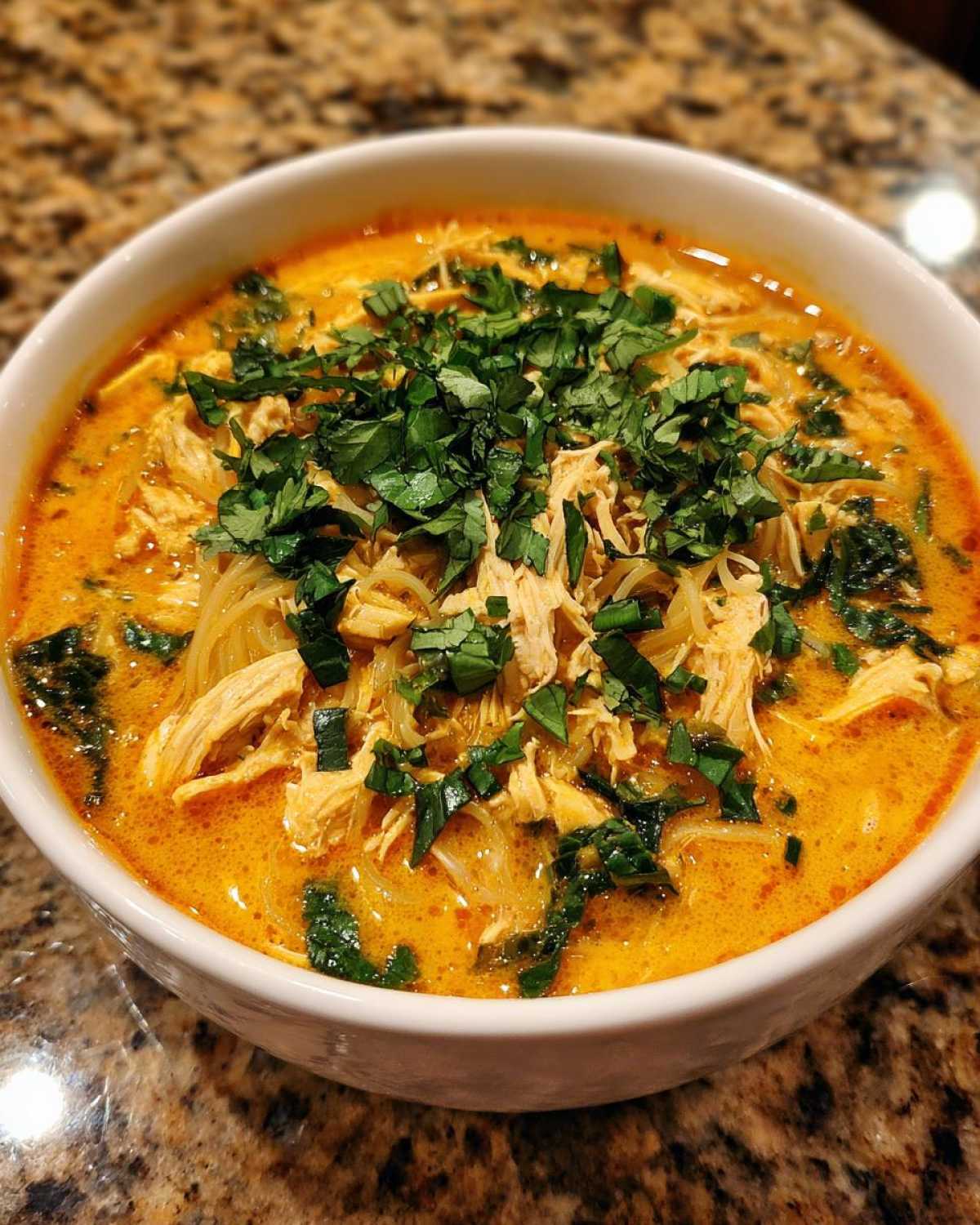 Instant Pot Thai Chicken Noodle Soup - detail 2