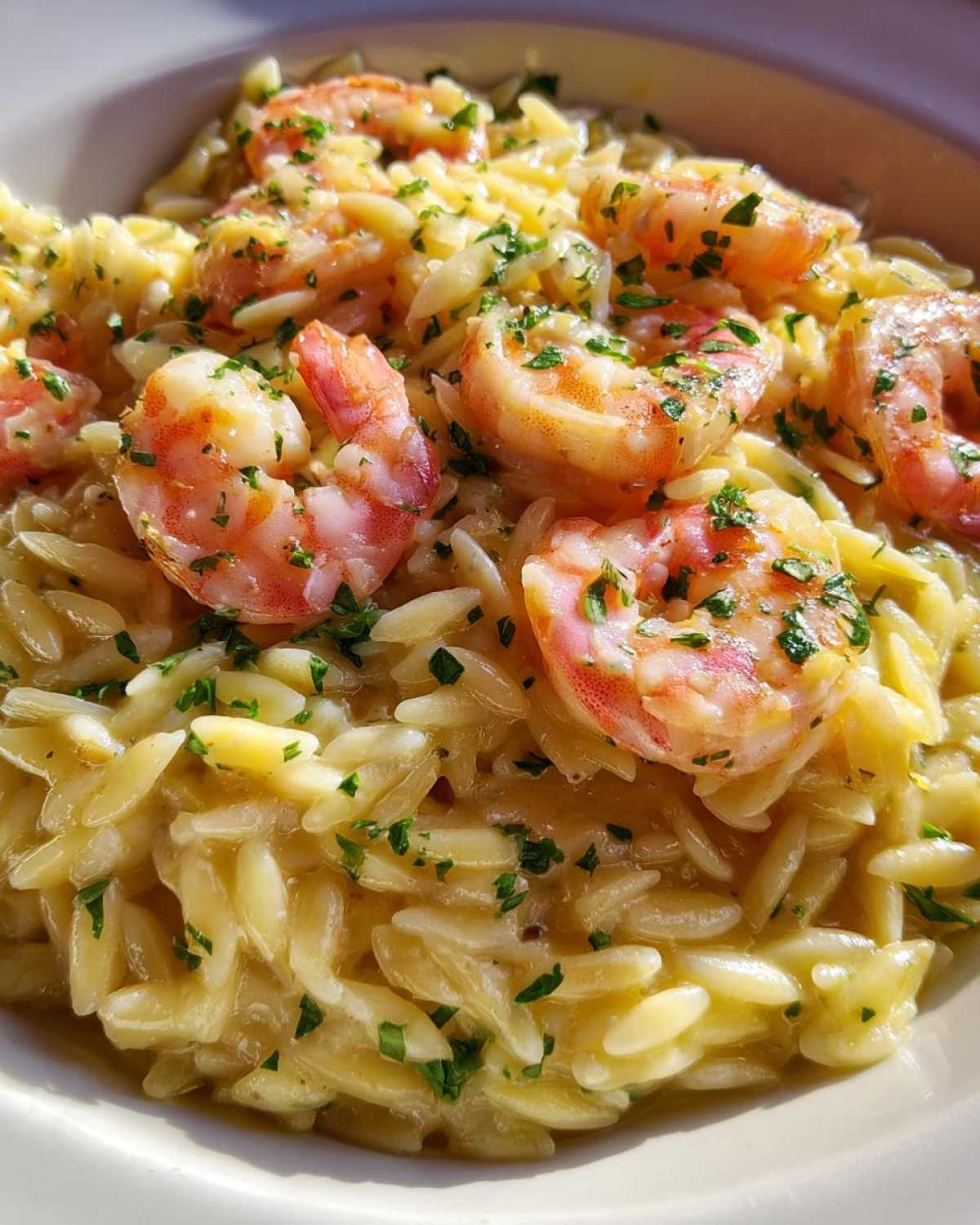 One-Pot Lemon Garlic Shrimp and Orzo - detail 2