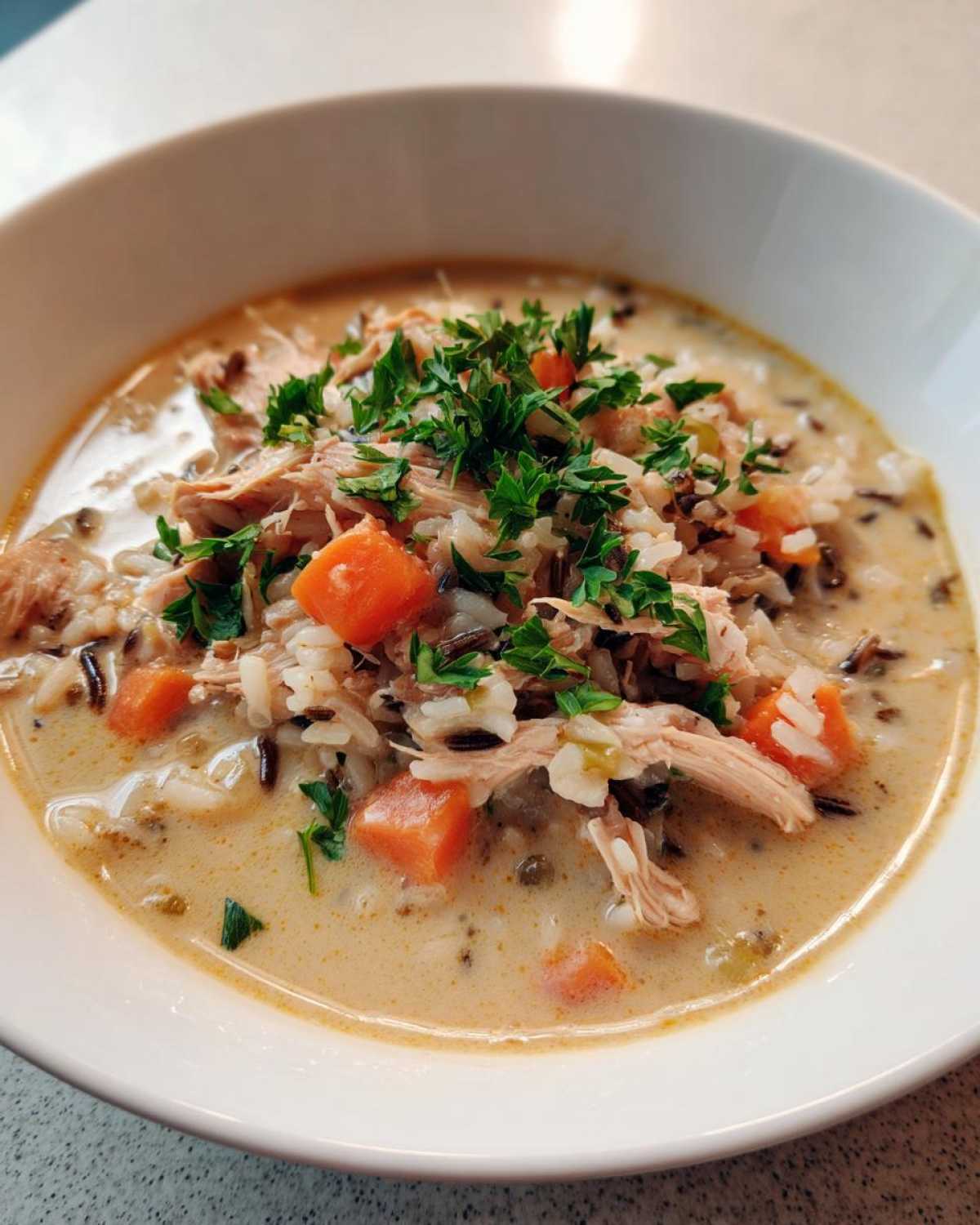Turkey and Wild Rice Soup - detail 1