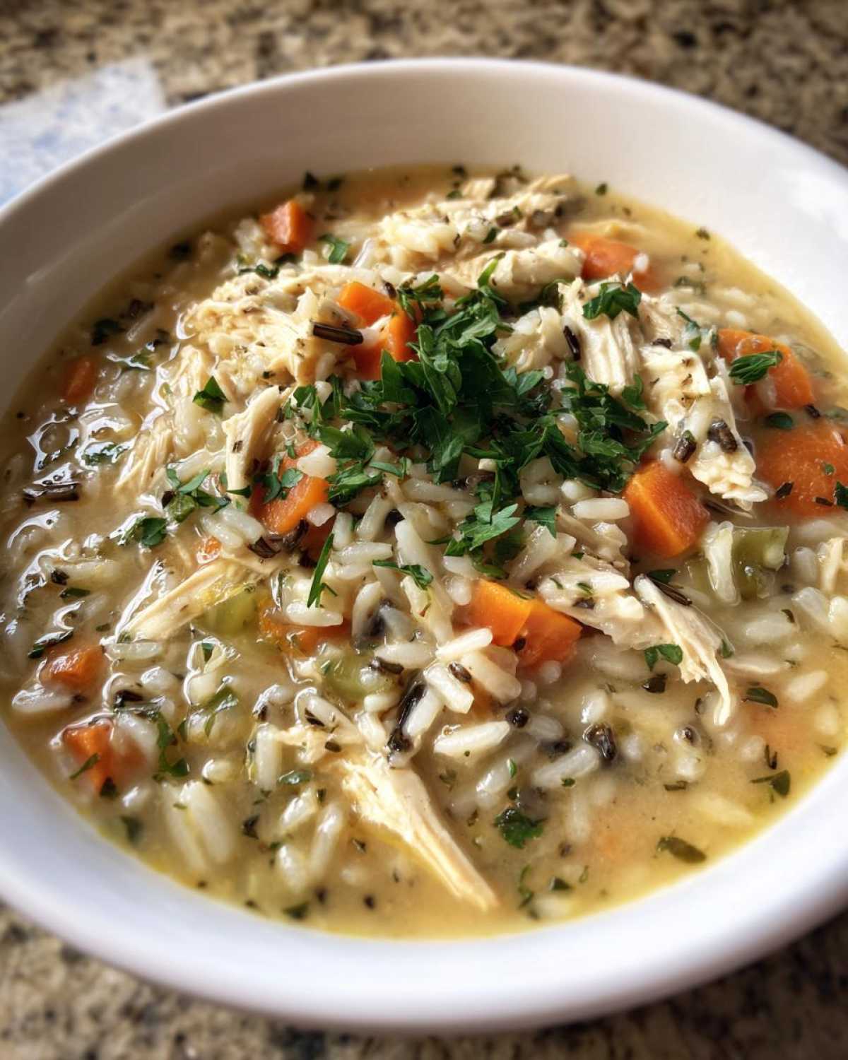 Turkey and Wild Rice Soup - detail 3