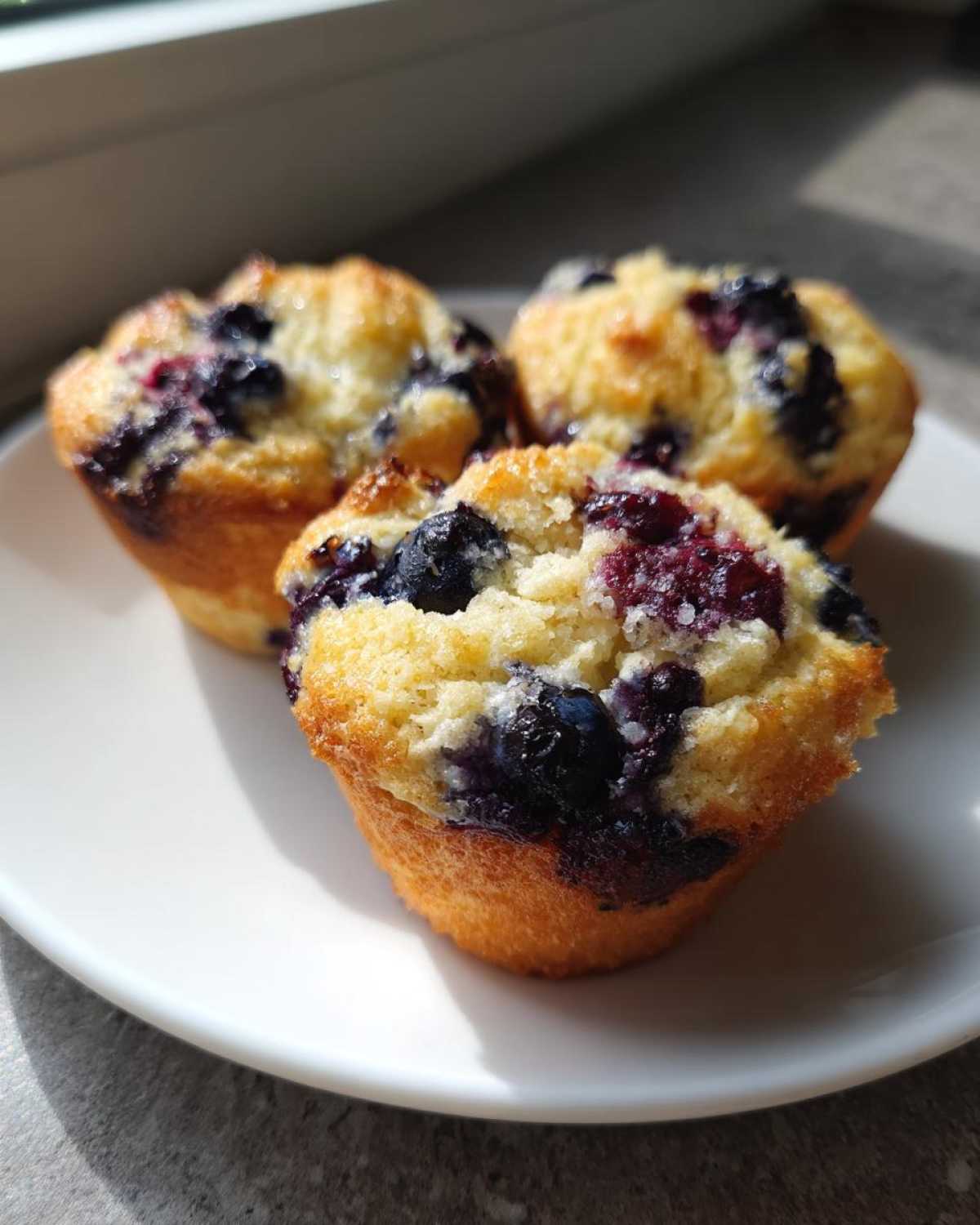 Three golden blueberry cottage cheese muffins, bursting with dark berries, sitting on a white plate.