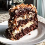 A tall slice of german chocolate cake showing three dark layers and two creamy white filling layers, topped with toasted coconut.