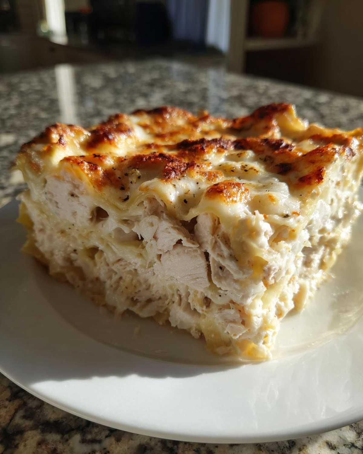 A generous slice of rich chicken alfredo lasagna showing layers of pasta, creamy sauce, and shredded chicken, topped with browned cheese.